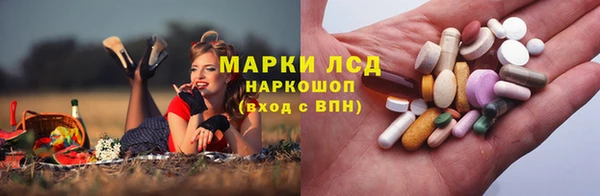гидропоника Абаза