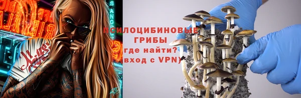гидропоника Абаза